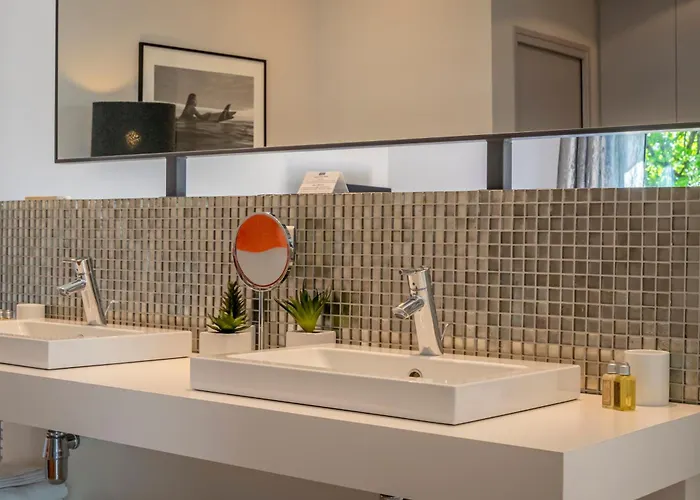 Lafitenia 圣让－德吕兹