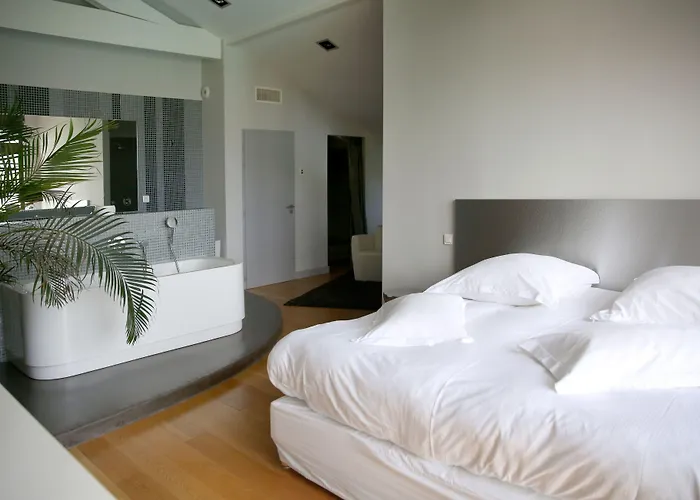 Lafitenia 圣让－德吕兹