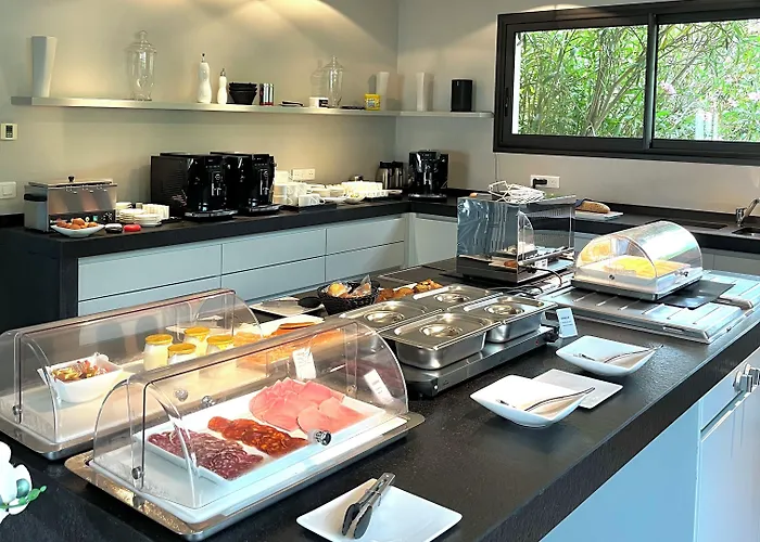 Lafitenia 圣让－德吕兹