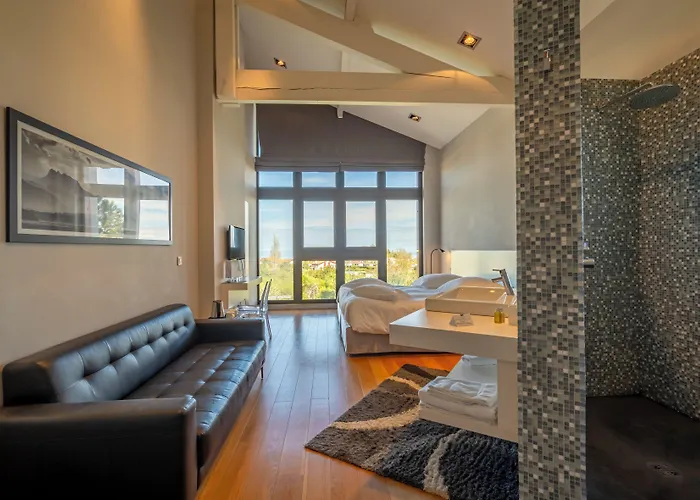 酒店 Lafitenia 圣让－德吕兹